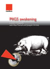 Piigs awakening