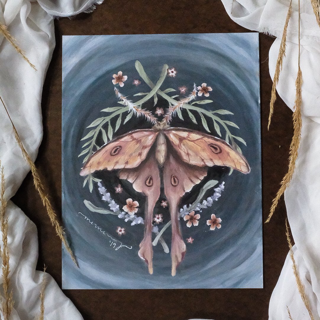 moon moth | Madison Memering