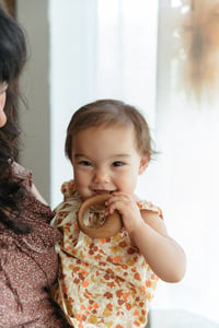 Image 5 of Round Walnut Rattle