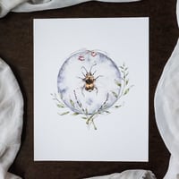 Image 2 of bumble bee