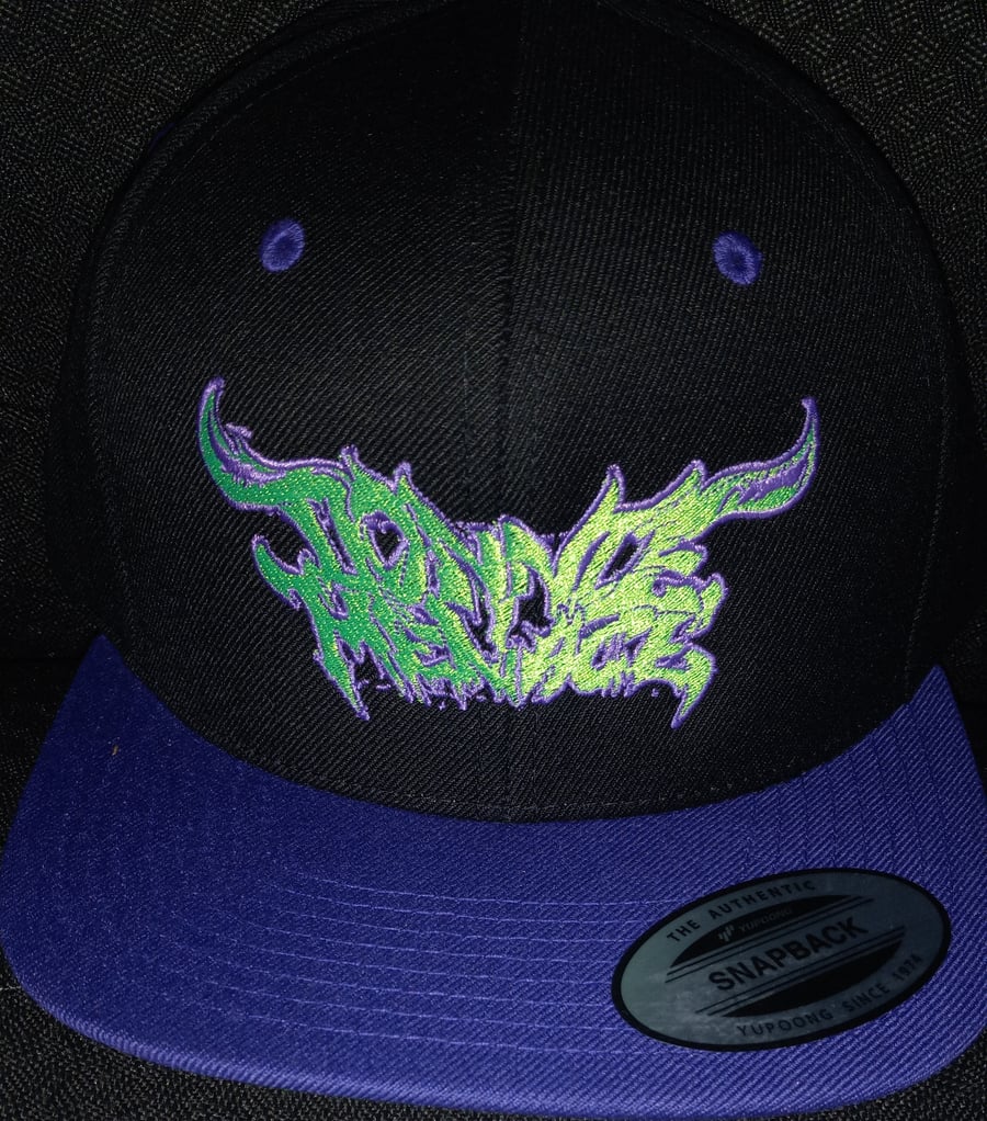 Image of DONNIE MENACE: PURPLE & GREEN LOGO EMBROIDERED SNAPBACK HAT