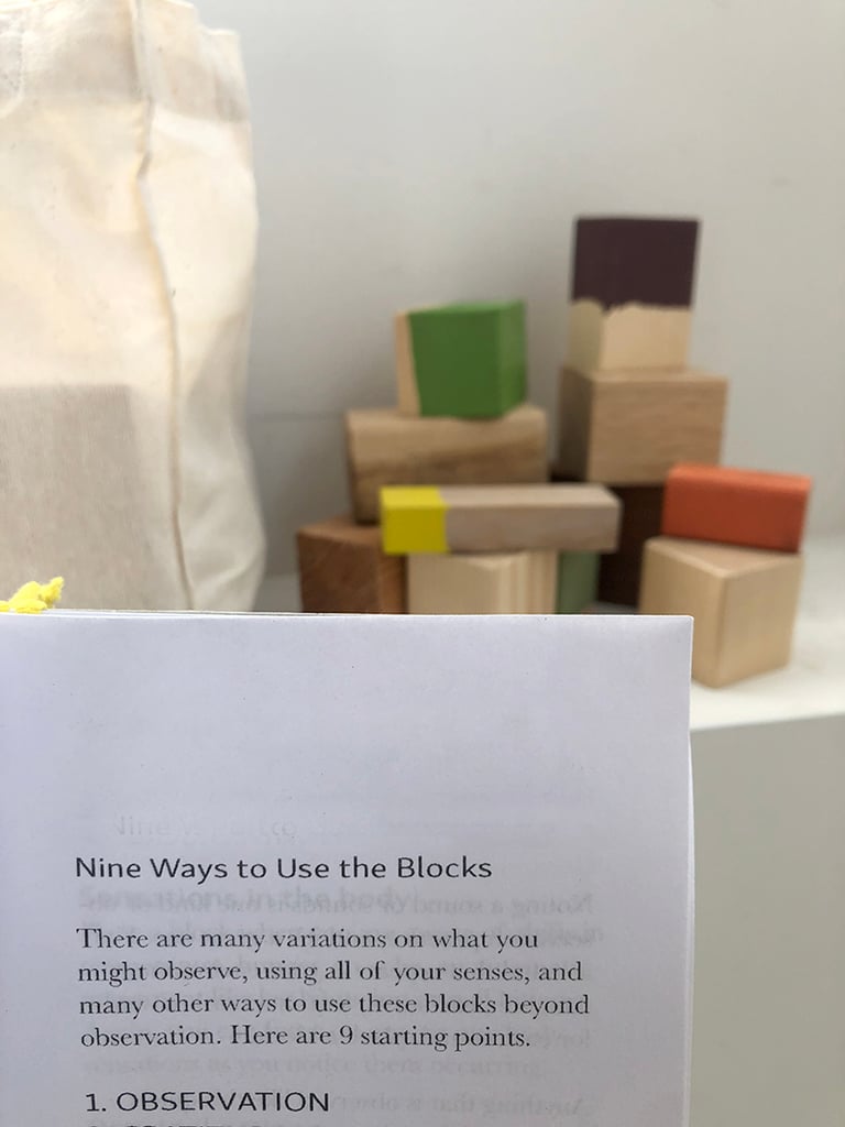 Attendant Home Kit Image 4