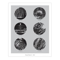 Image 5 of Natural Patterns I / 16" x 20" Print 