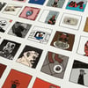 albums - print