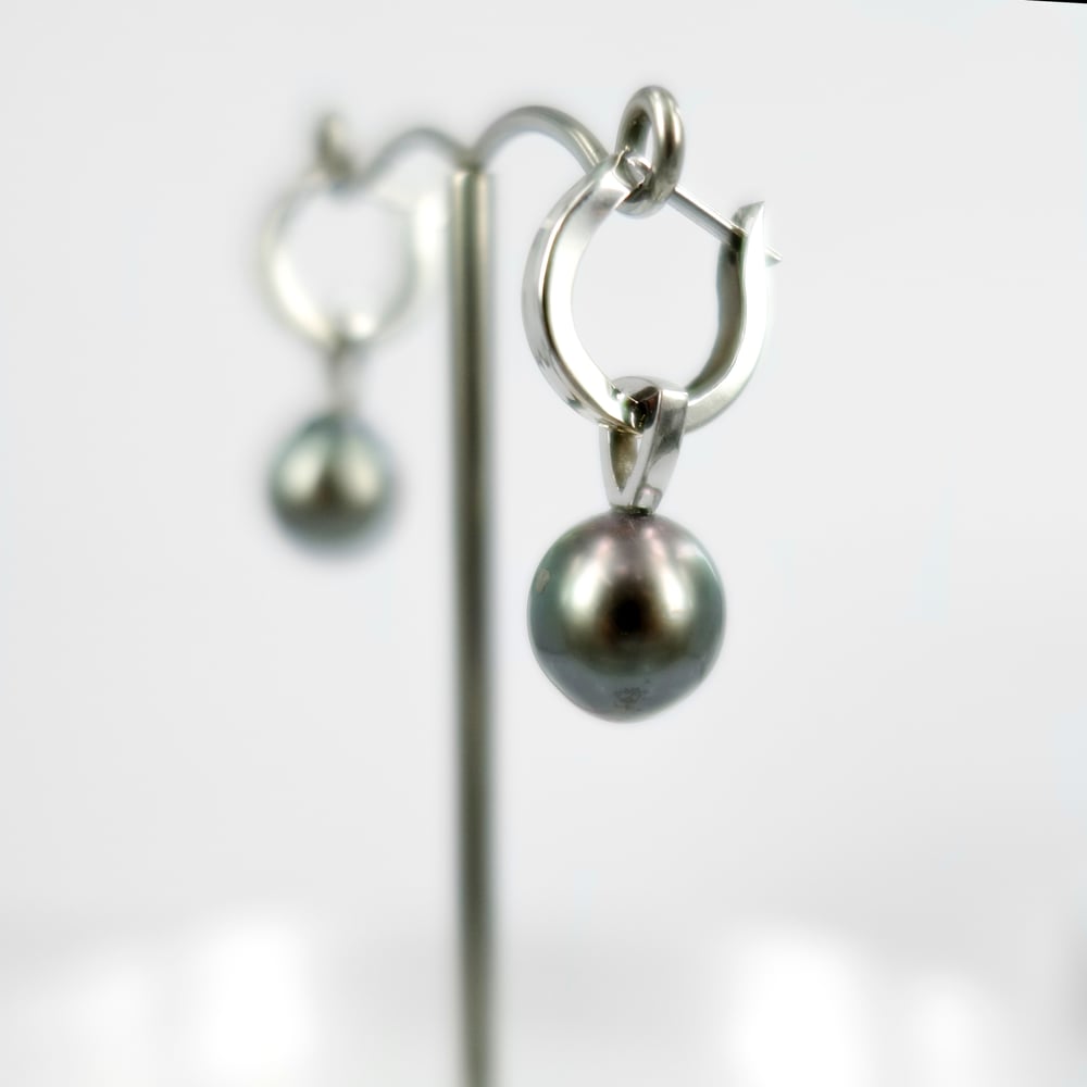 Image of 14ct white gold, tahitian pearl drop pearl earrings. SH