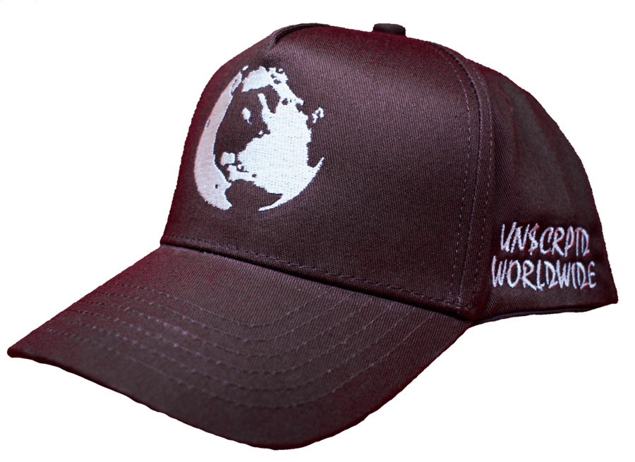 Image of Worldwide Snapback - Brown/Cream