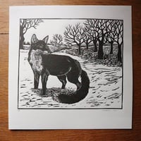 Image 1 of Winter Fox