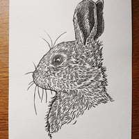 Image 2 of Rabbit no.2