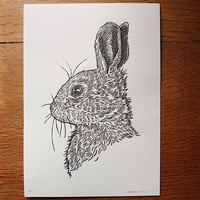 Image 1 of Rabbit no.2