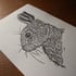 Rabbit no.2 Image 3