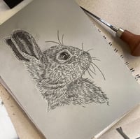 Image 5 of Rabbit no.2