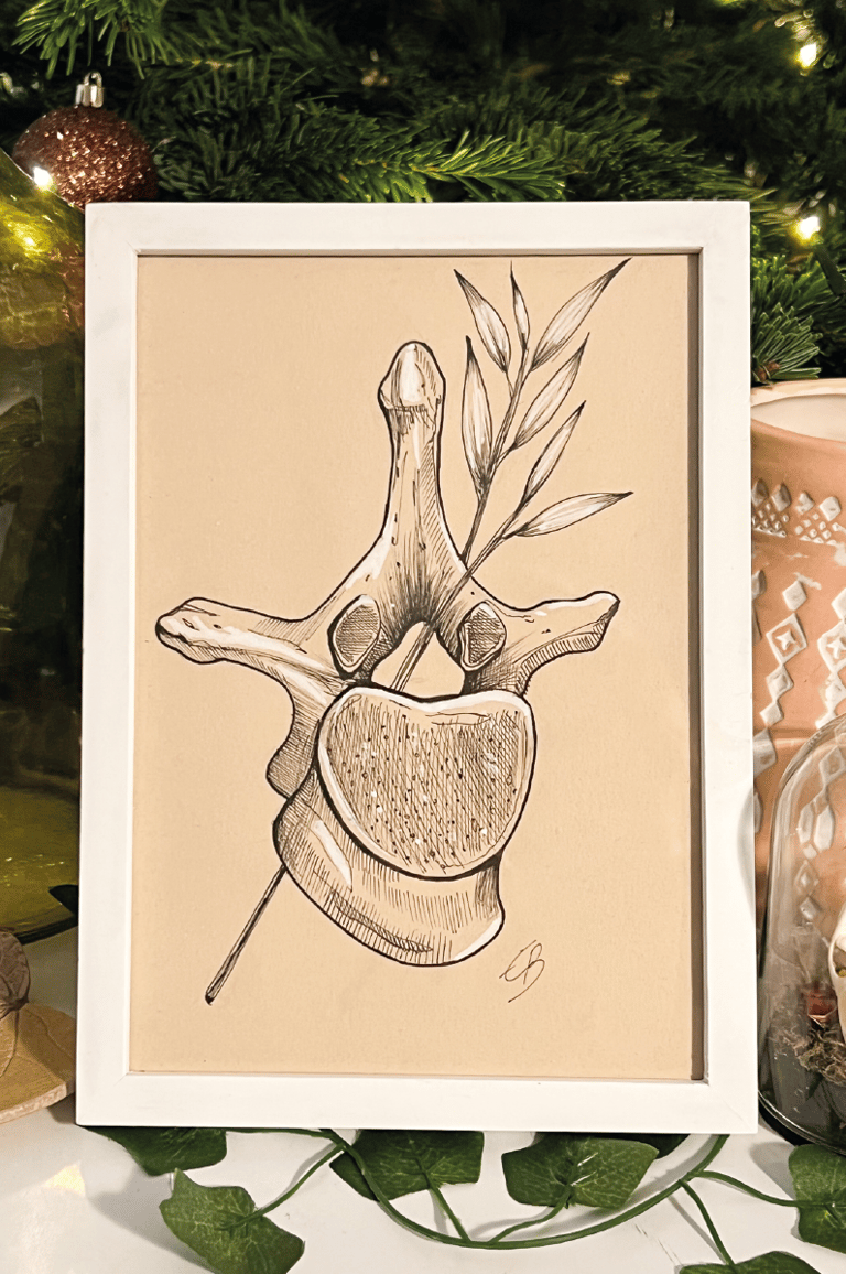 ILLUSTRATION ORIGINALE - VERTÈBRE