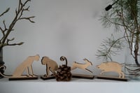 Tiere