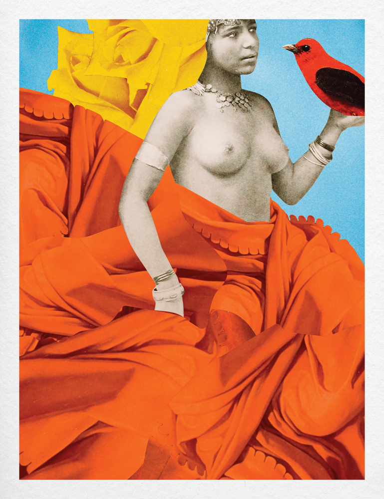 Image of Plate No. 015