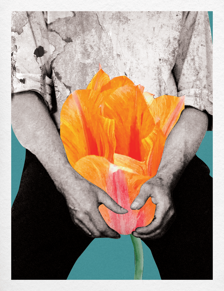 Image of Plate No. 007