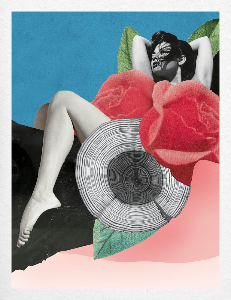 Image of Plate No. 026