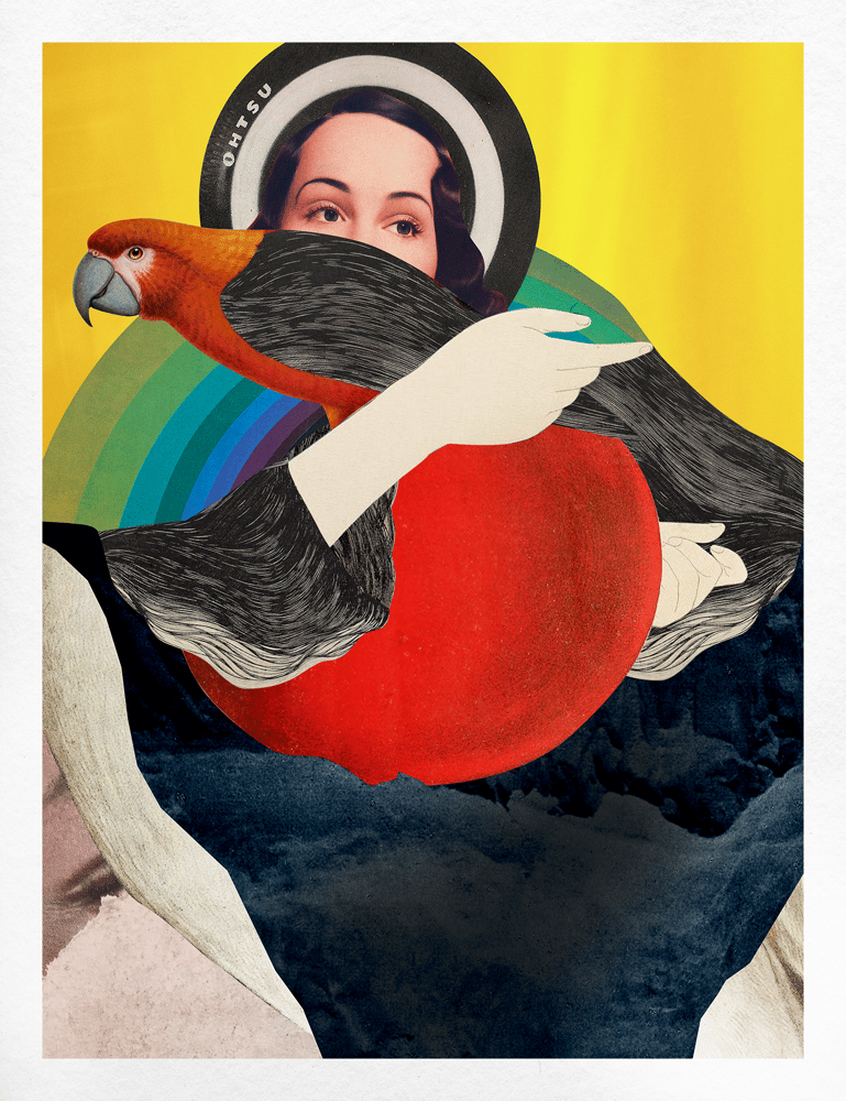 Image of Plate No. 027