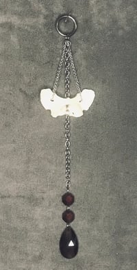 Image 1 of Coyote Atlas Vertebrae Custom Suncatcher