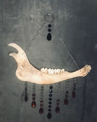 Image 1 of Bison Jaw Custom Suncatcher
