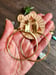 Image of Limited Edition Brass Earrings