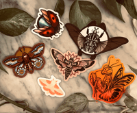 Image 1 of Winged Buddies Sticker Pack