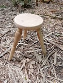 Course: Make a Greenwood Stool