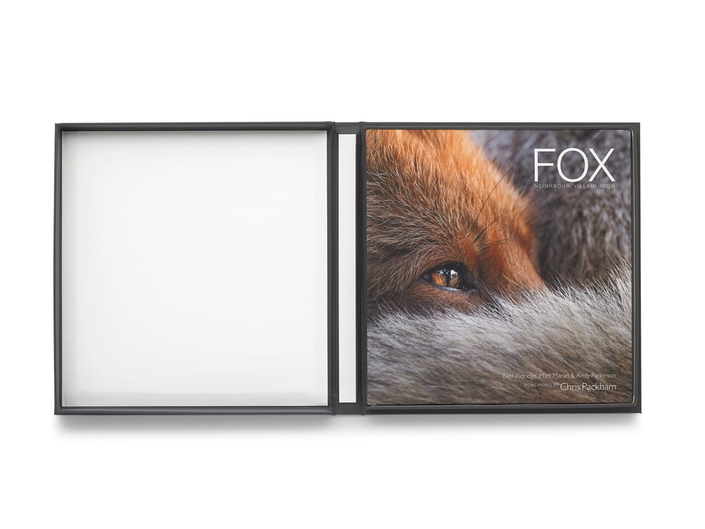 Image of Fox: Neighbour Villain Icon - Limited Edition box, book and print.