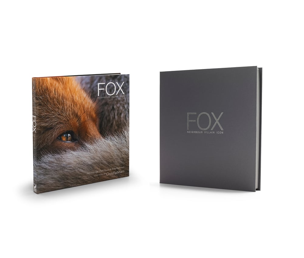 Image of Fox: Neighbour Villain Icon - Limited Edition box, book and print.