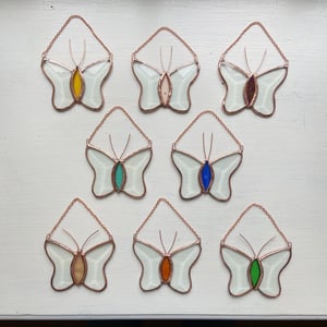 Image of Prism Butterflies