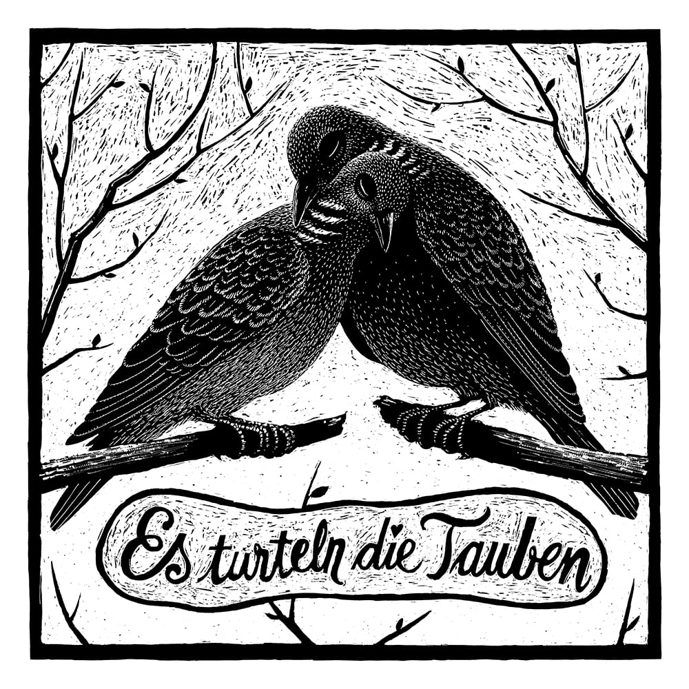 Image of »Tauben«