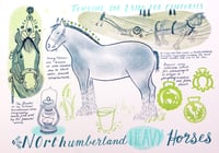 Northumberland Heavy Horses - Risograph