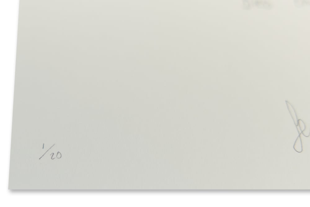 SERGIO PIZZORNO | BLESS THIS ACID HOUSE | *SIGNED AND NUMBERED* | LAST 3 PRINTS REMAINING