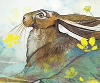 Image 3 of High Summer Hare