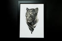 Image 3 of Panther