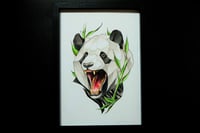Image 3 of Panda