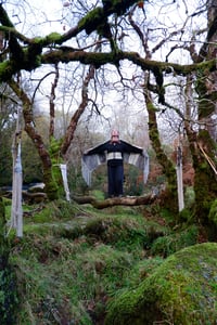 Image 2 of  Heron's Coat 