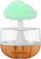 Image of Rain cloud humidifier