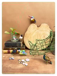 Image 3 of LE ROLLIER / poussin chips