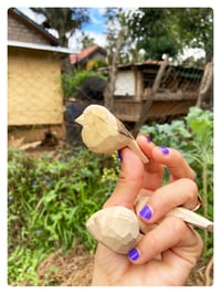 Image 4 of LA MÉSANGE / poussin chips 