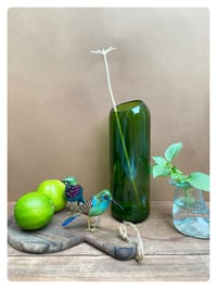 Image 3 of LE COLIBRI / poussin chips 