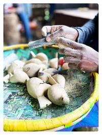 Image 4 of LE COLIBRI / poussin chips 