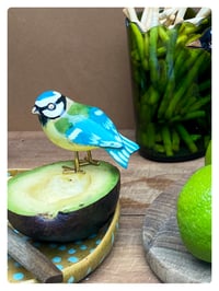 Image 3 of LA MÉSANGE / poussin chips 