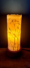 Cow Parsley Lamp