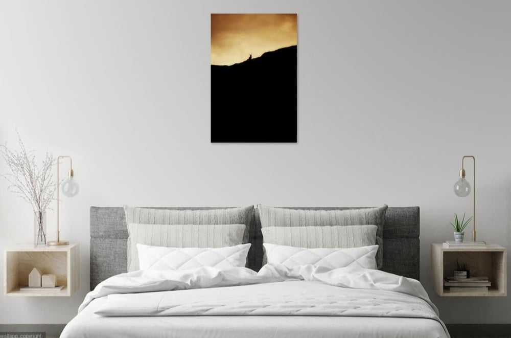 Image of Stag at Sunset 