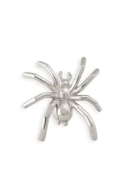 Image 3 of Spider