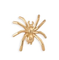Image 1 of Spider