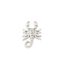 Image 2 of Scorpion