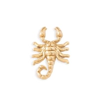 Image 1 of Scorpion