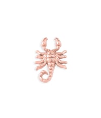 Image 3 of Scorpion