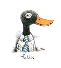 Image 1 of Hello Duck archival print